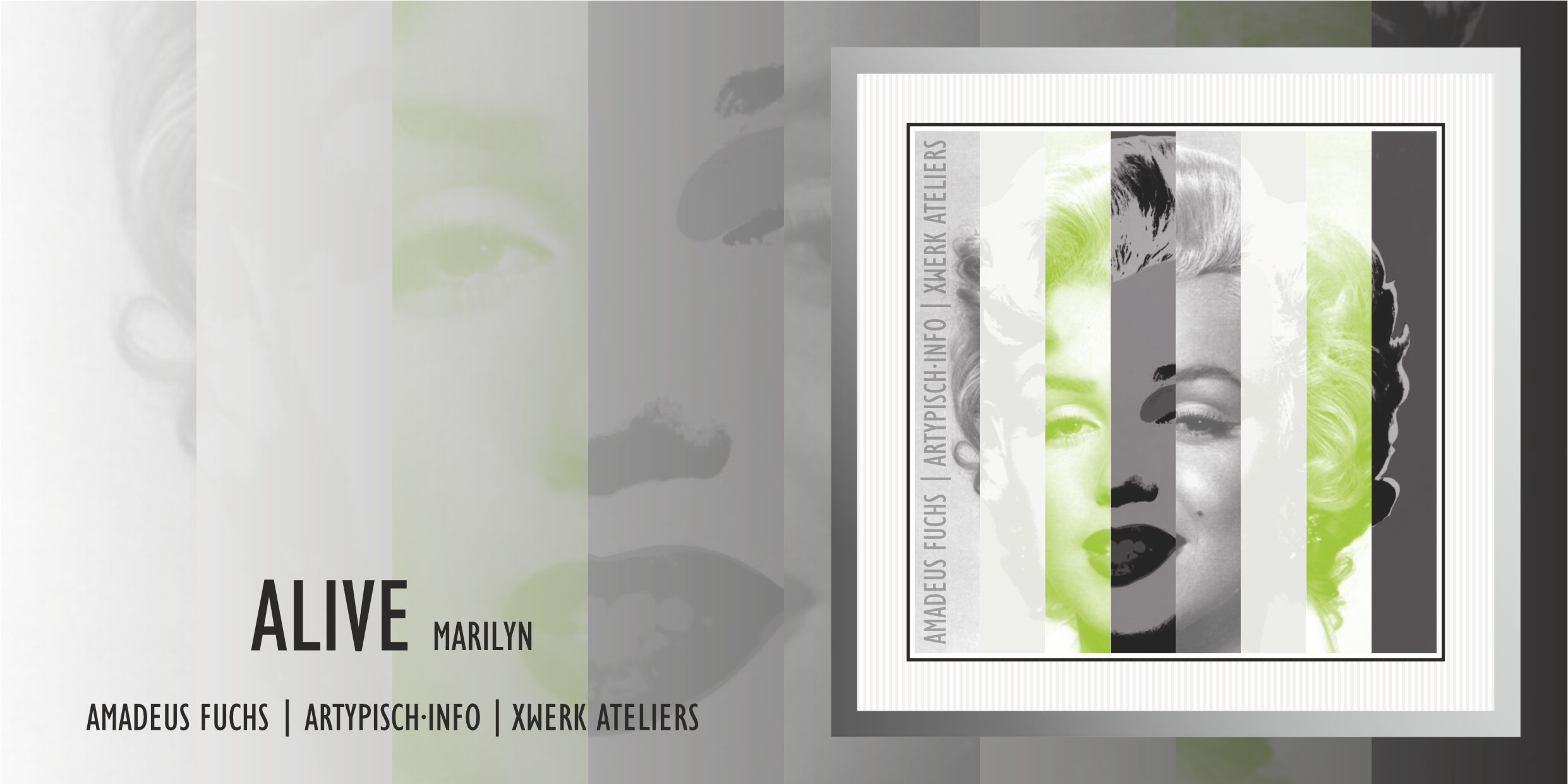 mm-fields7